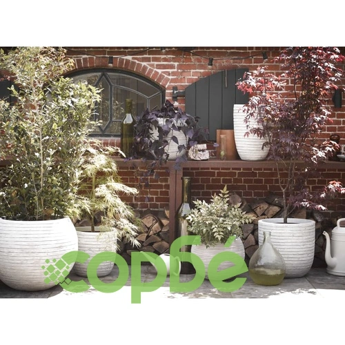 Capi Ваза Nature Row елегантна ниска 36x47 см слонова кост KRWI782 ➤ топ цена ➤ sorbe.bg