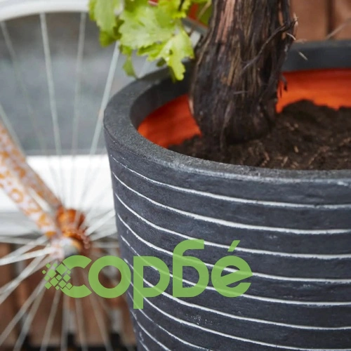Capi Ваза Nature Row елегантна ниска 46x58 см антрацит KRWZ783 ➤ топ цена ➤ sorbe.bg