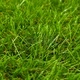 Изкуствена трева, 1x15 м / 40 мм, зелена