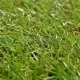 Плочки изкуствена трева, 10 бр, 30x30 см, зелени