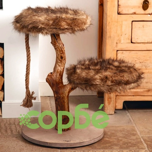 Designed by Lotte Мебел за драскане Aviva, 50x50x68 см ➤ топ цена ➤ sorbe.bg