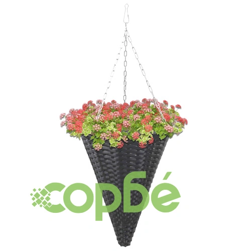 Висящи кошници за цветя, 2 бр, полиратан, черни ➤ топ цена ➤ sorbe.bg