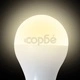 LED крушки, топло бяла светлина, 9 W E27 – 12 броя