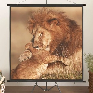 Прожекционен екран 81