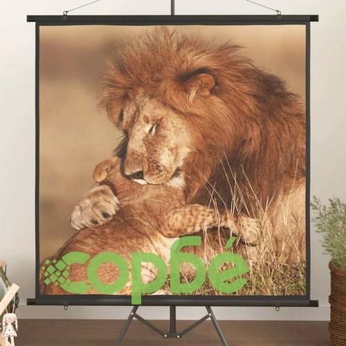 Прожекционен екран 81