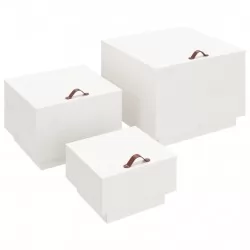 Кутии за съхранение с капаци 3 бр бели борова дървесина масив