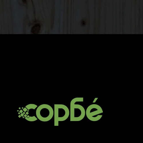 Дневно легло, черно, борово дърво масив, 90x190 см ➤ топ цена ➤ sorbe.bg