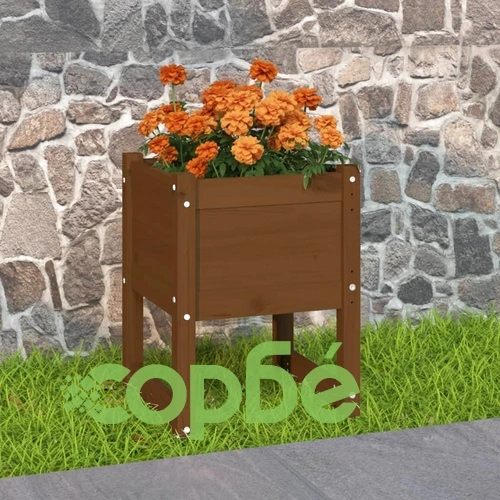 Плантер, меденокафяв, 40x40x52,5 см, борово дърво масив ➤ топ цена ➤ sorbe.bg
