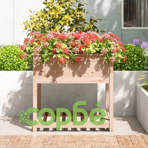 Плантер с рафт, 82,5x82,5x81 см, борово дърво масив ➤ топ цена ➤ sorbe.bg