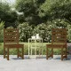 Градински столове 2 бр меденокафяви 40,5x48x91,5 см бор масив