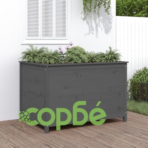 Градинско повдигнато легло, сиво, 119,5x82,5x78 см, бор масив на топ цена от sorbe.bg Градинско повдигнато легло, сиво, 119,5x82,5x78 см, бор масив ➤ топ цена ➤ sorbe.bg