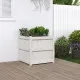 Градински сандък, бял, 60x60x60 см, бор масив