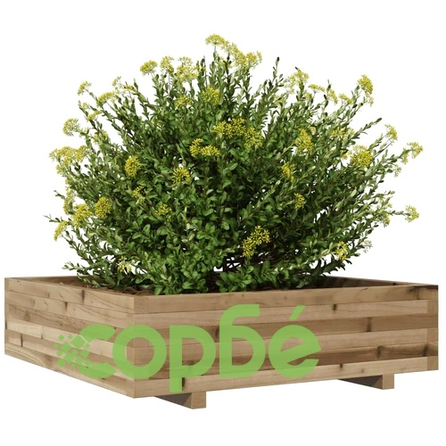 Градинска кашпа, 90x90x26,5 см, импрегнирано борово дърво ➤ топ цена ➤ sorbe.bg