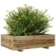 Градинска кашпа 90x60x26,5 см импрегниран бор