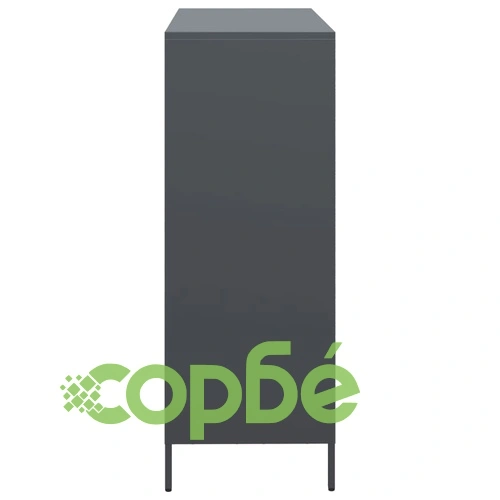 Висок шкаф, антрацит, 101,5x39x103,5 см, стомана ➤ топ цена ➤ sorbe.bg