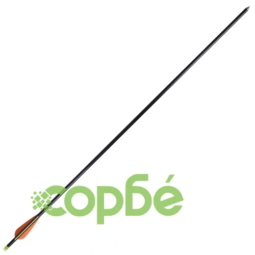 Юношески компаунд лък с аксесоари и алуминиеви стрели ➤ топ цена ➤ sorbe.bg