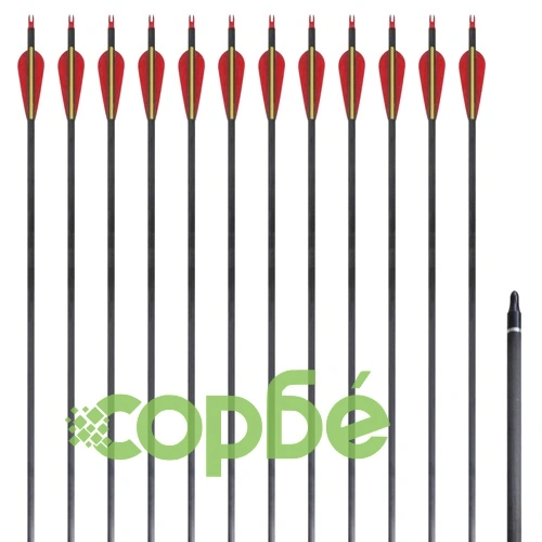 Стандартни стрели за лък 0,76 см карбонови 12 бр. ➤ топ цена ➤ sorbe.bg