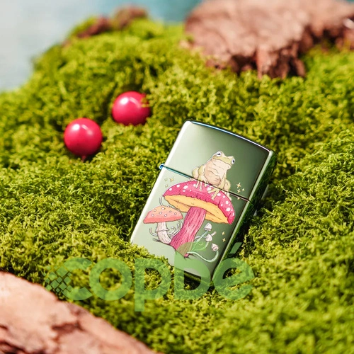 Запалка Zippo - Mystical Frog Design ➤ топ цена ➤ sorbe.bg