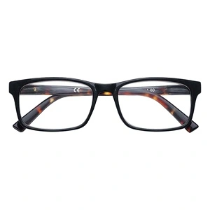 Очила за четене Zippo - 31Z-B20, +2.5 31Z-B20-NDE250