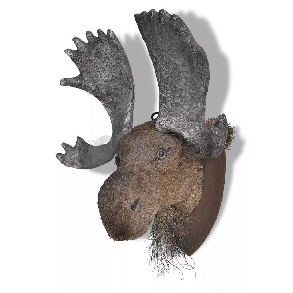 Декоративна глава на лос за стената, естествен вид