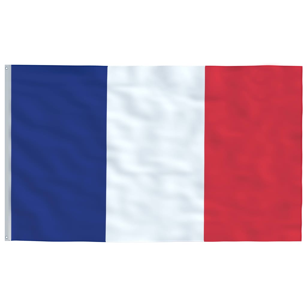 Флаг на Франция и стълб 5,55 м алуминий