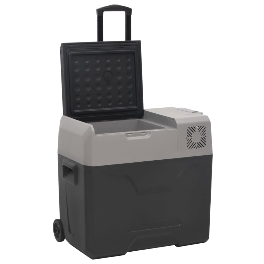 Хладилна кутия с колелца и адаптер черно/сиво 30 л полипропилен