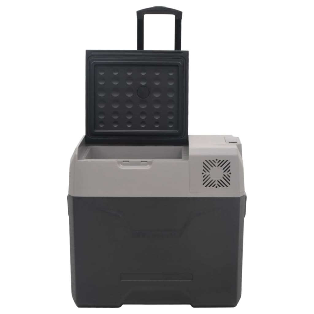 Хладилна кутия с колелца и адаптер черно/сиво 50 л полипропилен