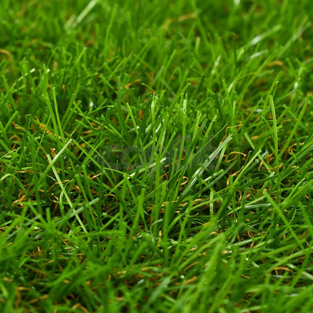 Изкуствена трева, 1x5 м / 40 мм, зелена